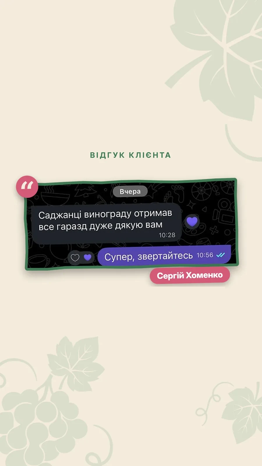 Відгук клієнта Сергія Хоменка, скриншот листування у Viber: «Саджанці винограду отримав, все гаразд, дуже дякую вам» — відповідь: «Супер, звертайтесь»